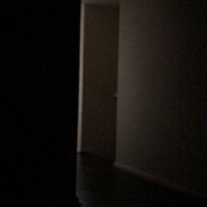 Meet your Posher, Suja